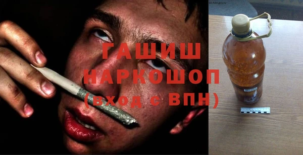 индика Кулебаки