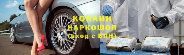 индика Кулебаки