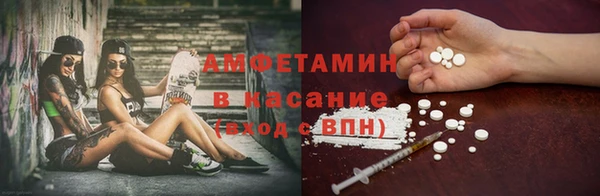 индика Кулебаки