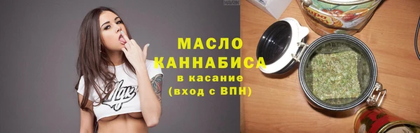 индика Кулебаки