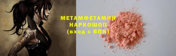 индика Кулебаки