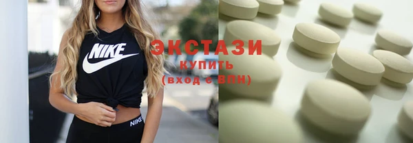 индика Кулебаки