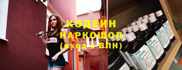 индика Кулебаки