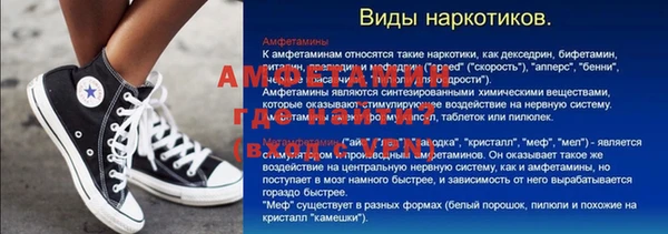 индика Кулебаки