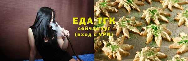 индика Кулебаки