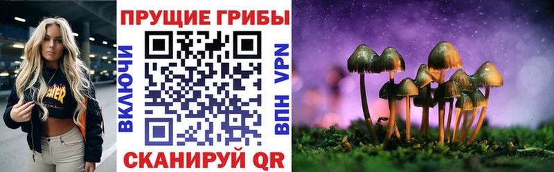 Купить закладки  Катайск  Галлюциногенные грибы GOLDEN TEACHER 